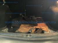 Nissan Kicks 2019 5p Sense L4/1.6 Man      2019 Nissan Kicks Ingreso Cajuela 1