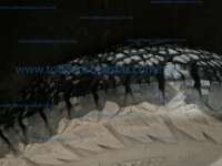 Ram Promaster 2021 5p Ram 2500 V6/3.6 Aut IMG_8132