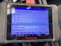 Cupra León  2024 5p L4/2.0/T 190 HP DSG 2024 Cupra León  Ingreso Motor 5