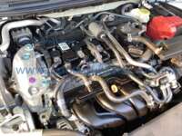 Nissan Sentra 2024 4p Advance L4/2.0 CVT 2024 Nissan Sentra Ingreso Motor 3