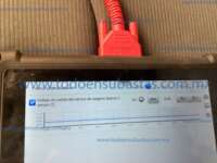 Seat Ibiza 2024 5p Xcellence L4/1.6 Man 2024 Seat Ibiza Ingreso Motor 4