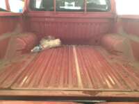 Chevrolet S10 Max 2024 4p Crew Cabina L4/2.4 Man IMG_7939