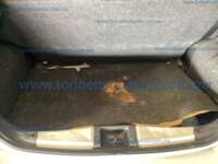 Nissan March 2021 5p Sense L4/1.6 Man 2021 Nissan March Ingreso Cajuela 1