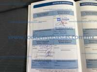 Toyota Prius 2020  2020 Toyota Prius Ingreso Documentos 2