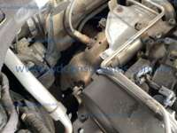 Volkswagen Tiguan 2021 5p Trendline Plus L4/1.4/T DSG IMG_0121