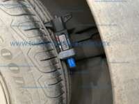 Volkswagen Virtus 2024 4p Trendline L4/1.6 Man IMG_0441