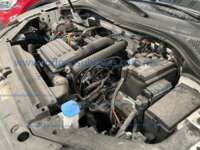 Volkswagen Tiguan 2024 5p Comfortline L4/1.4/T DSG IMG_0724