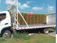 Freightliner FL360 2022 2p con motor 4P10-KAT4 2022 Freightliner FL360 Venta Cajuela 1