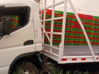 Freightliner FL360 2022 2p con motor 4P10-KAT4 2022 Freightliner FL360 Venta Cajuela 3