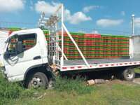 Freightliner FL360 2022 2p con motor 4P10-KAT4 2022 Freightliner FL360 Venta Exteriores 3