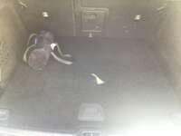 Volvo XC60 2021 5p Momentum T5 L4/2.0/T Aut 2021 Volvo XC60 Venta Cajuela 2