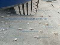 Volkswagen Virtus 2024 4p Highline L3/1.0/T Tiptronic IMG_3412