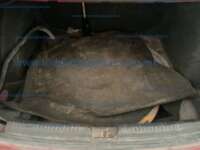 Volkswagen Vento 2021 4p Starline L4/1.6 Tiptronic IMG_4837