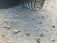 Volkswagen Taigun 2024 5p Trendline L3/1.0/T Tiptronic IMG_5633