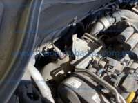 Volkswagen Taos 2021 5p Comfortline L4/1.4/T Aut IMG_5199