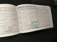 Nissan March 2023 5p Sense L4/1.6 Aut 2023 Nissan March Venta Documentos 4