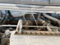 Seat Ibiza 2025 5p Style L4/1.6 Tiptronic IMG_9891