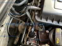 Seat Arona 2021 5p Xcellence L4/1.6 Tiptronic 2021 Seat Arona Ingreso Motor 3