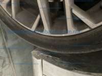 Seat Ibiza 2025 5p Xcellence L4/1.6 Man IMG_6999