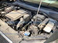 Seat Ibiza 2025 5p Xcellence L4/1.6 Man 2025 Seat Ibiza Ingreso Motor 0