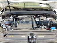 Volkswagen Tiguan 2024  2024 Volkswagen Tiguan Ingreso Motor 1