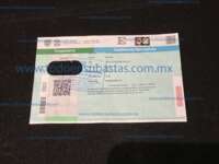 Minia
