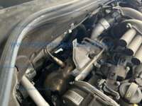 Volkswagen Taos 2024 5p Highline L4/1.4/T Aut IMG_0447