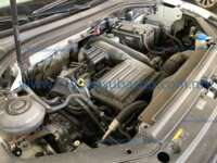 Volkswagen Tiguan 2024 5p R-Line L4/1.4/T DSG 2024 Volkswagen Tiguan Ingreso Motor 2