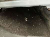 Chevrolet Tornado 2023 5p Van LS L4/1.5 Man IMG_0260