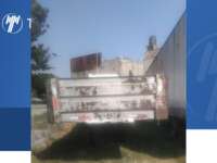  Plataforma 1994  1994  Plataforma Venta Cajuela 3