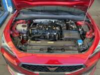 Cupra León  2024 5p L4/2.0/T/190 DSG IMG_1733