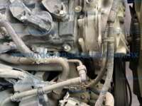 Nissan Urvan 2020 4p L4/2.5 Man 15/Pas Paq. Seg.  IMG_5809