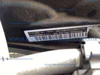 Volkswagen Virtus 2024 4p Trendline L4/1.6 Tiptronic IMG_6025