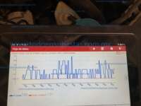 Honda Accord 2021 4p Touring L4/2.0/T Shift By Touch IMG_1350