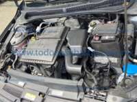 Volkswagen Polo 2024 5p Trendline L4/1.6 Man Línea Nueva IMG_7039