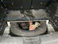 Nissan X-Trail 2020 5p Advance 2 Row L4/2.5 CVT IMG_1456