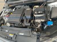 Volkswagen Polo 2024 5p Trendline L4/1.6 Man Línea Nueva IMG_5885