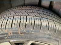 Volkswagen Teramont 2024 5p Highline L4/2.0/T Tiptronic IMG_8828