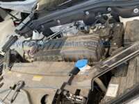 Volkswagen Teramont 2024 5p Highline L4/2.0/T Tiptronic IMG_6537