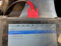 Seat Ibiza 2025  IMG_6883