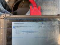 Seat Ibiza 2025  IMG_6881