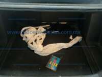 Chevrolet Onix 2022 4p LT L3/1.0/T Man  IMG_2721