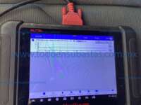 Seat Ibiza 2025 5p Xcellence L4/1.6 Tiptronic 2025 Seat Ibiza Ingreso Motor 4