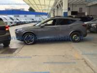 Cupra Formentor 2024 5p L4/2.0/T/190 DSG IMG_3366