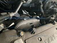 Kia Rio 2022 4p L L4/1.6 Aut      IMG_9031