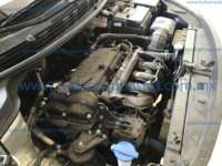Kia Rio 2023 4p Sedán LX L4/1.6 Aut 2023 Kia Rio Ingreso Motor 2