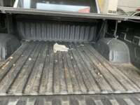 Chevrolet Silverado 2024 4p Custom Doble Cabina 4x4 V8/5.3 Aut IMG_0417