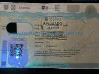 Minia