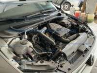 Volkswagen Polo 2026 5p Highline L3/1.0/T Tiptronic IMG_3391