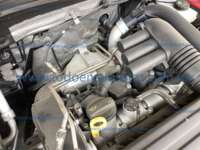 Volkswagen Tiguan 2021 5p Trendline Plus L4/1.4/T Aut 2021 Volkswagen Tiguan Ingreso Motor 3
